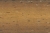 2008_DISTRESS_WOOD_BLIND