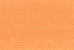 207 Regular WOOD BLIND